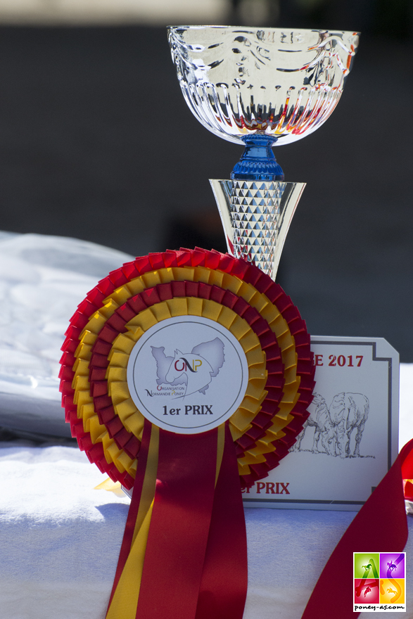 Local élevage poney Saint-Lô - ph. Poney As