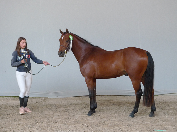 Dream on der Lenn - ph. Marion Lestelle