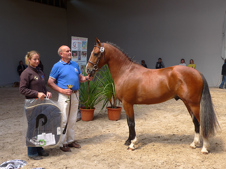 Elquabar des Monceaux - ph. Marion Lestelle