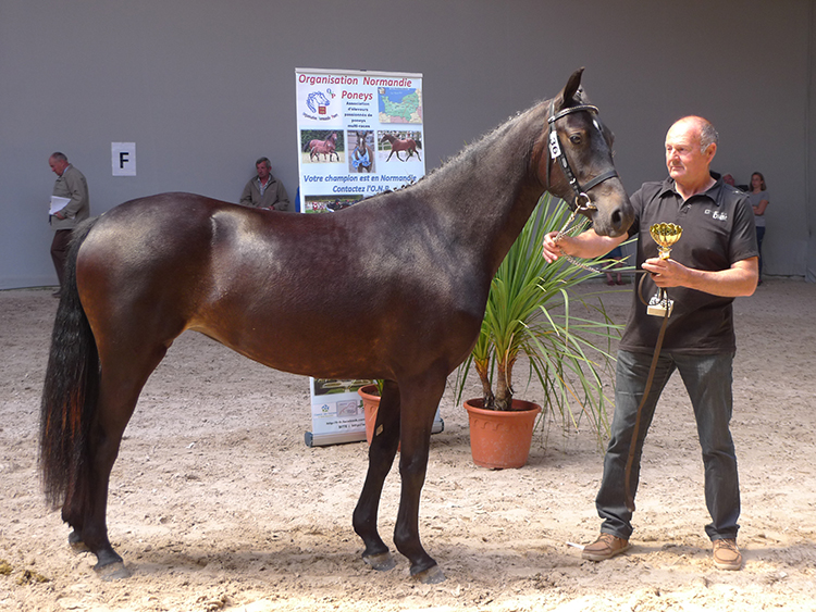 Etoile de la Hague - ph. Marion Lestelle