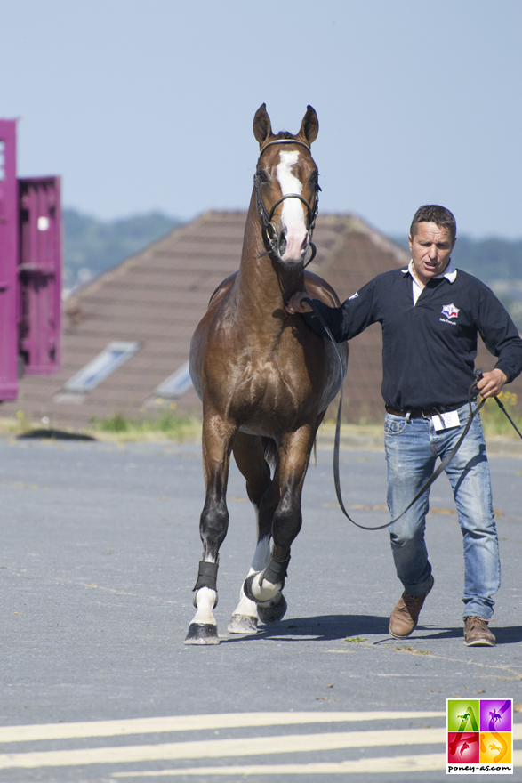 Flocky de la Vallée – ph. Pauline Bernuchon