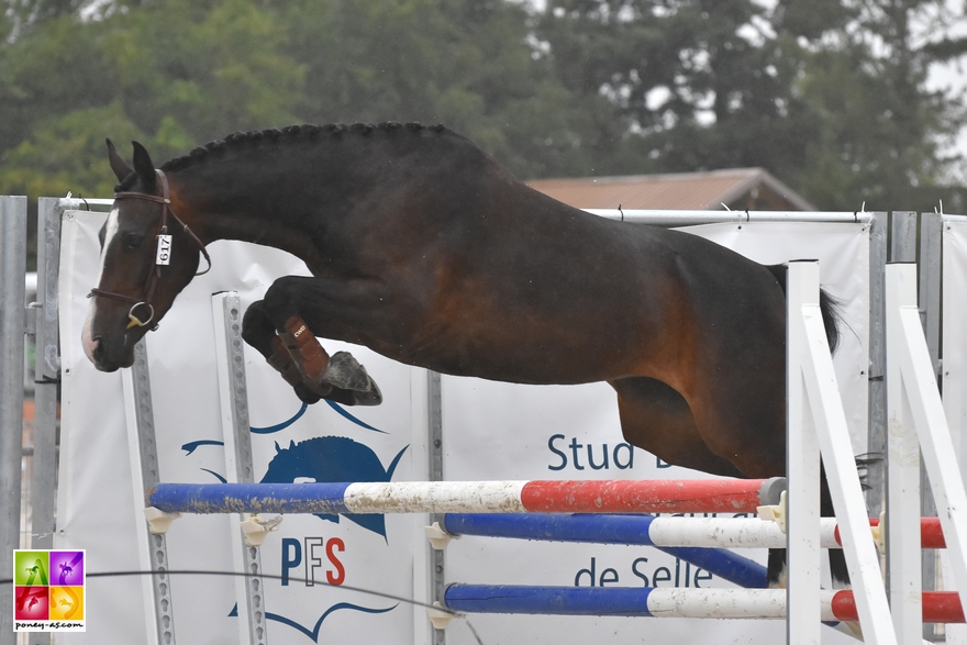 Etrang'Affair du Gite - ph. Poney As