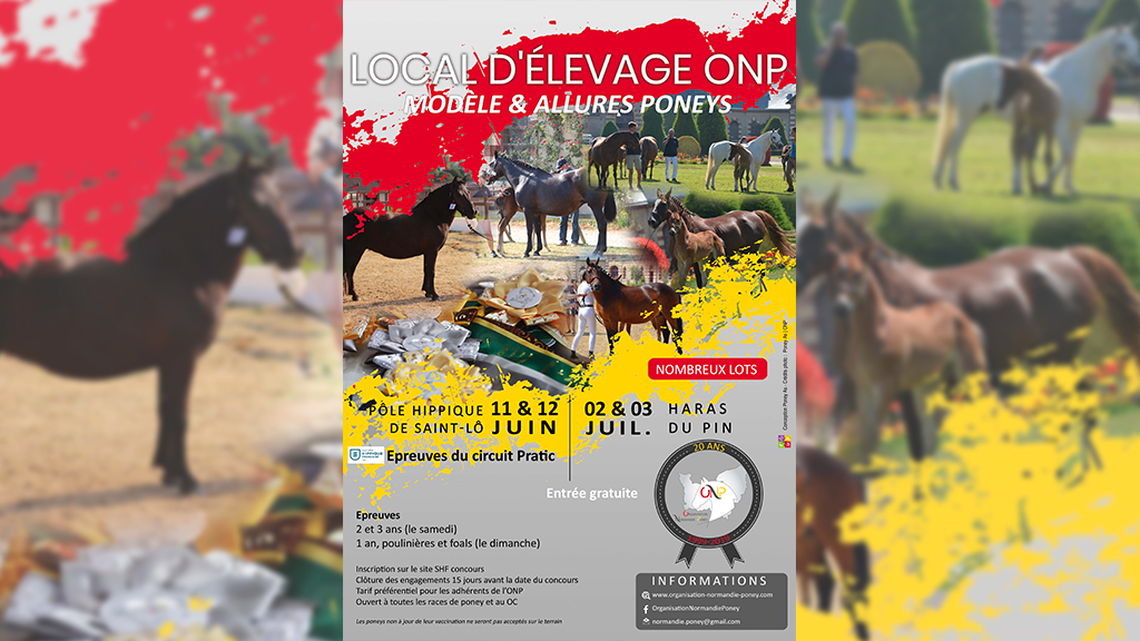 Affiche concours locaux ONP 2022