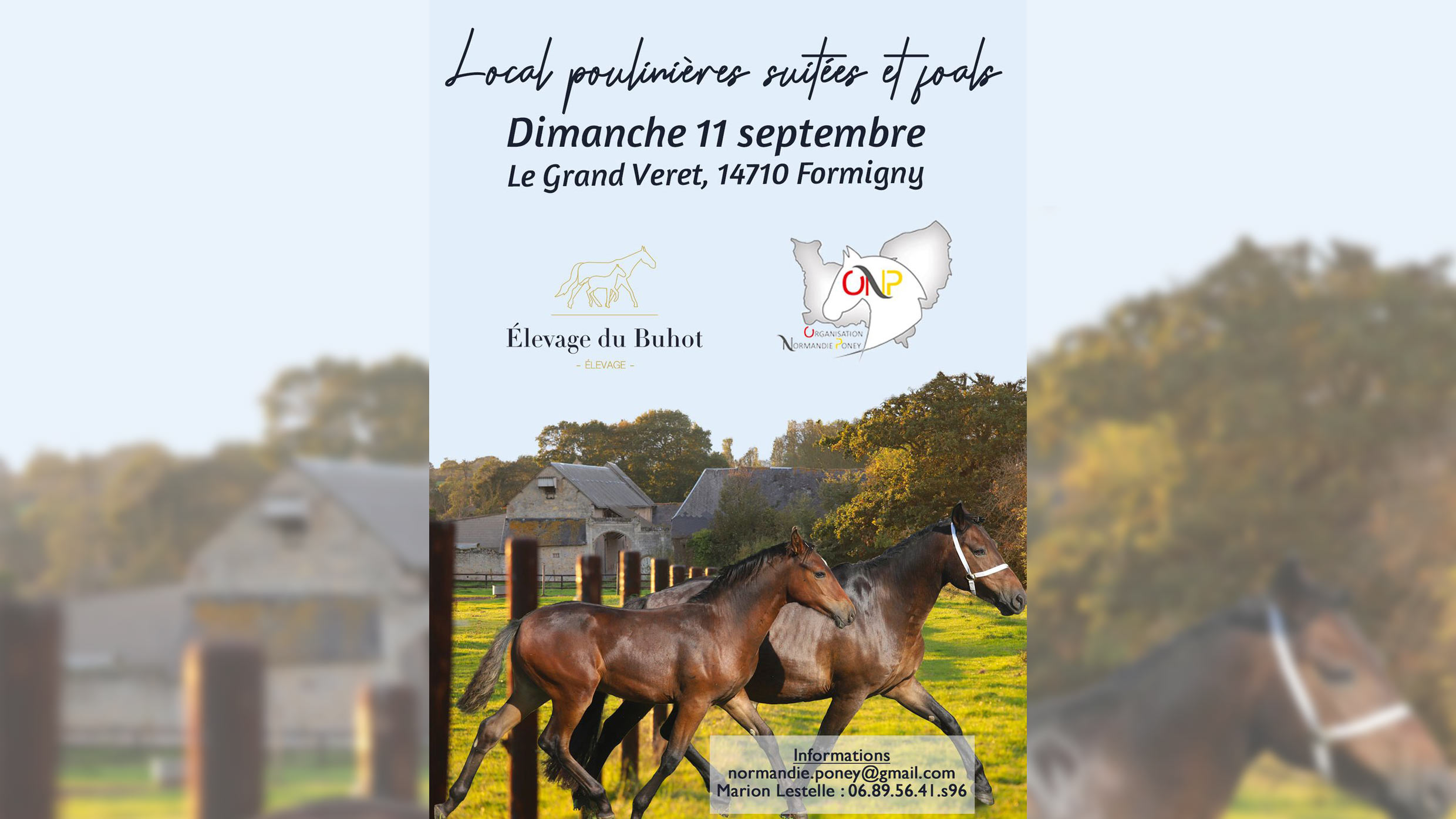 Affriche-Local-poulinières-suitées-Formigny