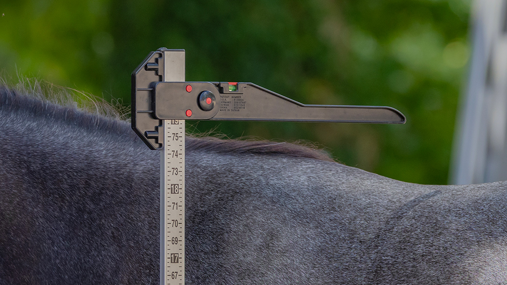 PRATIC#-HNP-2022-707792_toise